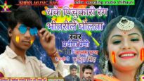 DHOKE PICHUKARI RANG BHITRILE GHOLTA | PRABIN RAJ | NEW BHOJPURI HOLI SONG 2024