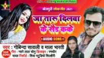 जा तारू दिलवा के सैड कके | GOVINDA SAWALI & MALA BHARTI | NEW BHOJPURI SONG 2024