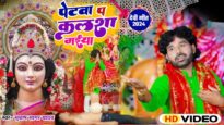 PETWA P KALSA MAIYA | SUBHASH SAGAR YADAV | NEW MATARANI BHAKTI SONG 2024 | BHOJPURI DEVI GEET 2024