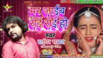 मार जाएब रोई रोई हो | MAR JAIB ROI ROI HO | TIGER SAMRAT | NEW BHOJPURI SAD SONG 2024