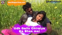 Udh Gailu Chiraiya Ke Bhes mei | Amarjeet Yadav | Abhiyan Misra | Bhojpuri Songs | Shiva Music