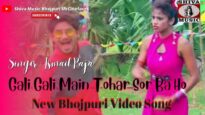 Gali Gali Main Tohar Sor Ba Ho   | Ismail Raja | Bhojpuri New Video | Shiva Music Bhojpuri