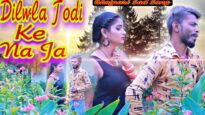 दिलवा तोड़ी के ना जा  | Dilwa Todi Ke Na Ja  | Babli Babu | Bhojpuri Sad Song 2022