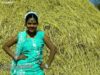 { Sange Jiyab Marab } Gorelal & Miss Nawina | New Nagpuri Theth Song [ Sonu & Shalini ] Sadri Geet