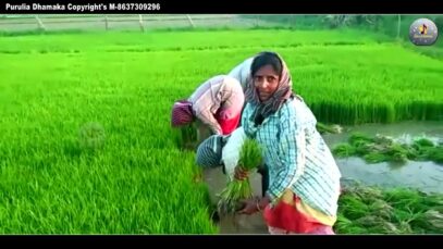 Purulia Song 2023 [ Bihaan Dhan ] Biswanath Roy | Superhit { Manbhum Bangla Gaan }