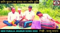 কলি ফুলে গো হামর  মন গেলি ভুলি | নতুন করম গীত | শিল্পী কৃষ্ণ বলরাম গরাই | #karamgeet Karam Geet 2022