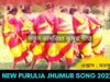 নতুন ভাদরিয়া ঝুমুর গীত | শিল্পী মনসু মাহাত | #puruliajhumur | New Purulia Jhumur Gaan 2022