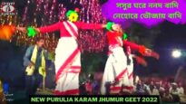 সসুর ঘরে ননদ বাদি নেহোরে ভৌজায় বাদি 💥 | শিল্পী অনিল মাহাত 💝 | New Purulia Supar Hit Karam Geet 2022
