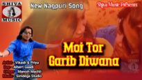 मोई तोर गरीब दीवाना 💃😢 | Moi Tor Garib Diwana  💃😢  | New Nagpuri Video | Shiva Music Jhollywood