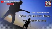 हम भी पागल तुम भी पागल | Hum Bhi Pagal Tum Bhi Pagal | New Nagpuri Dj Song | Shiva Music Jhollywood