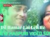 दिल हमर लाई लेली रे 💛🤦🏽‍♂️ | Dil Hamar Lai Leli Re 💛 | New Nagupri Song | Shiva Music Jhollywood