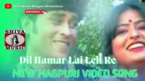 दिल हमर लाई लेली रे 💛🤦🏽‍♂️ | Dil Hamar Lai Leli Re 💛 | New Nagupri Song | Shiva Music Jhollywood