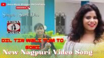 Dil Tin Wali Tum To Gori ❤️💑 | Sunil Das | New Nagpuri Video Song | Shiva Music Jhollywood