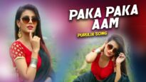 Paka Paka Aam | Afsheen Abbas | Purulia Song | Shiva Music Jhollywood