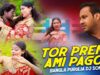 Bangla Dj Song – Tor Preme Ami Pagol | Dj Ananda | Shiva Music Regional