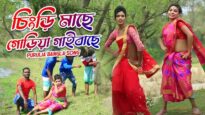 চিংড়ী মাছে গোডিয়া গাইবাছে  | Haripada | Purulia Bangla Song | Shiva Music Amar Bangla
