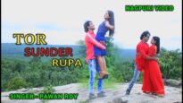 Tor Sunder Roopa Me | Pawan Roy | Nagpuri Song Jharkhand | Shiva Music Hamar Jharkhand