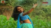 Chinta Kore Nai Basi | Purulia Song | Bangla Bengali Song | Shiva Music Regional