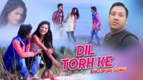 Bhojpuri  Song – Dil Torh Ke | Sandip Nimmi Mukendra | Aashiq Deewana | Shiva music hamar jharkhand