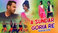 A Sundar Goria Re | Dilip Gope | Nagpuri Song | Shiva Music Hamar Jharkhand