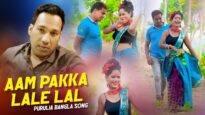 Purulia Bangla Song – Aam Pakka Lale lal | Rajib Karmakar & Mira Das | Shiva Music Amar Bangla