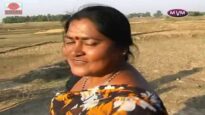Jhargram Jhumur Gaan – Rasta Me Nai Darah | Shiva Music Regional