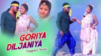 Goriya Diljaniya | Akash Lohra | Nagpuri Song | Shiva Music Hamar Jharkhand