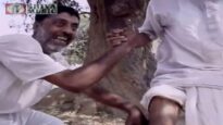 Tor Preme Chorah | Comedy Song | Joga & Chodka | Bengali/Bangla Video | Shiva Music Regional