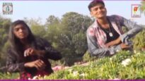 Tui Hamar Banah Piya Re | Bengali/Bangla Song | Purulia Song | Shiva Music Regional