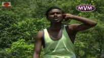 Sundari Purulia | Jhargram Jhumur Gaan | Bengali/Bangla Video | Purulia Song | Shiva Music Regional