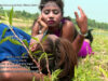 Purulia Bangla Sad Song – Amay Chere Kyon Bideshe | Nathu Mahto | Shiva Music Amar Bangla