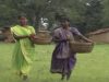 { Saawan Maase } Nagpuri Theth Song 2023 | Sadri Theth Song