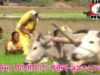 Arr Na Manbo Bhasur | Shishu Pal, Sushila | Purulia Song | Bangla Song | Shiva Music Regional