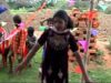 { Shadi Ghare Geylo } Vishnu, Kishor, Manoj, Babu & Monika | Nagpuri Song 2023 | Sadri Song