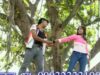 Bengali Song Video 2022 [ Dekhechhi Pratham Bar ] Superhit { Bangla Hits }
