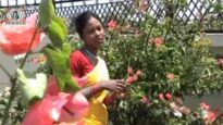 Mone Tame Men Gate { Stephan & Dhani } Ho Munda Song 2023 | New Song
