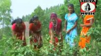 Assam Kar Gori { Vishnu, Jitu, Parashnath, Lalit, Kishore Minz } Nagpuri Song 2023 | Sadri Song