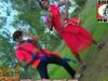 Jhumka Hilaike { Ignesh & Sarita } Nagpuri Song 2023 | Sadri Song
