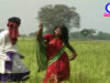 { Thumak Thumak Gori Chale } Nagpuri Song 2023 | Sadri Song