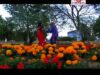 छोटा सा दिल   | EGNESH | Nagpuri Song | Shiva Music Regional