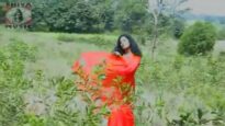 Guiya Ninga Sari | Buri Murmu  | Santhali Song    | Shiva Music Regional
