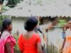 Sipahi Tange | Buri Murmu  | Santhali Song    | Shiva Music Regional
