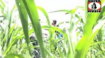 Sunaina-Sunaina | MANOJ | Nagpuri Song | Shiva Music Regional