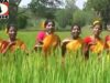 Dadako Undiko Misiko  | Bagun sundi ​ | Ho Munda Song | Shiva Music Regional