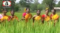 Dadako Undiko Misiko  | Bagun sundi ​ | Ho Munda Song | Shiva Music Regional