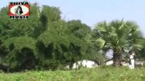 San Agunj | G.Sulanki ​ | Ho Munda Song | Shiva Music Regional