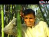 Buda | Shambhu  | khortha Song | Shiva Music Regional