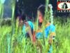 { Aabe Guiya Re } Nagpuri Song 2023 | Sadri