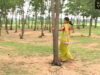 Purulia Song 2022 [ Biha Kore ] Superhit { Manbhum