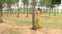 Purulia Song 2022 [ Biha Kore ] Superhit { Manbhum